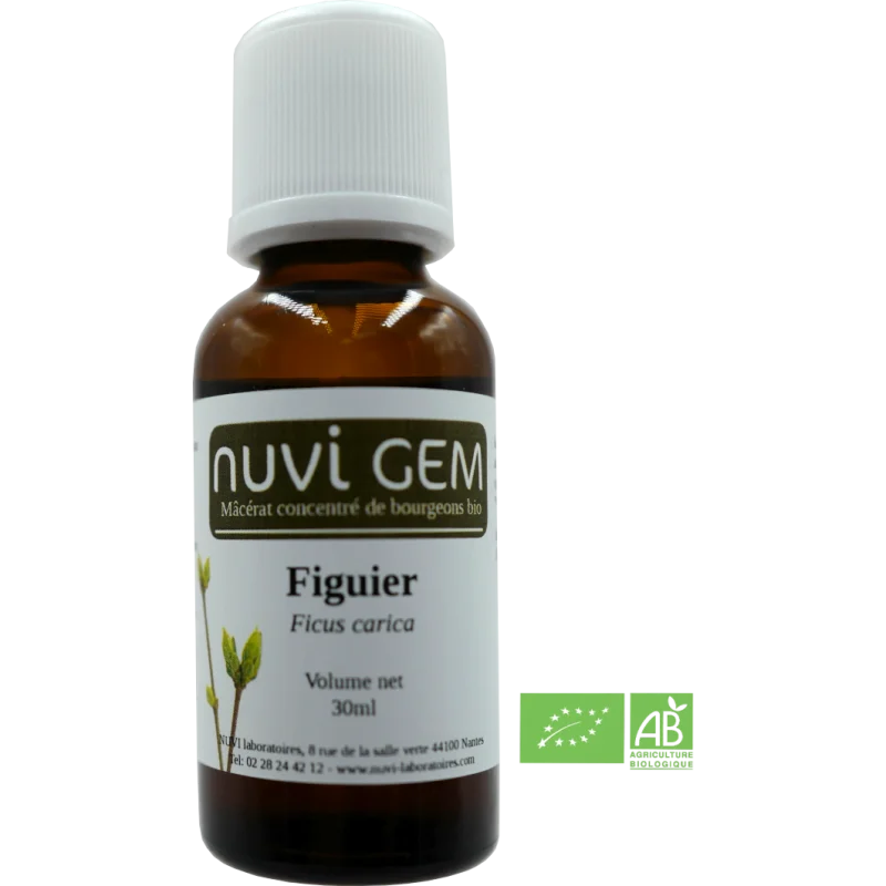 naturomarket20260928172901655253