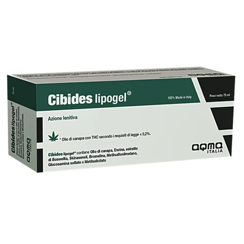 pharmacieloreto-3202610010413171297136