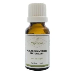 the-parapharmacy20260928180545664832